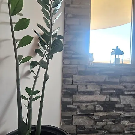 22 * Veliko Tŭrnovo